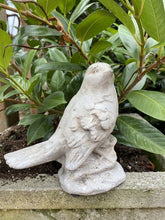 Load image into Gallery viewer, Bird Statue
