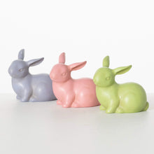 Load image into Gallery viewer, Easter Time Bunny