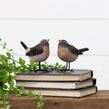 Load image into Gallery viewer, Birds With Metal Feet
