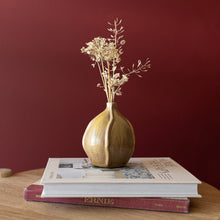Load image into Gallery viewer, Rowena Bud Vase