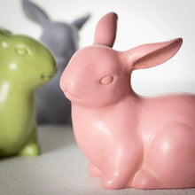 Load image into Gallery viewer, Easter Time Bunny