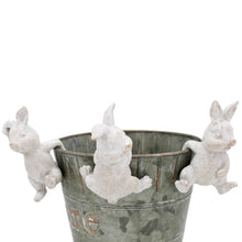 Load image into Gallery viewer, Bunny Pot Hanger