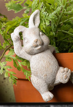 Load image into Gallery viewer, Bunny Pot Hanger