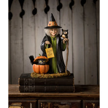 Load image into Gallery viewer, Trick or Treat Callie Witch