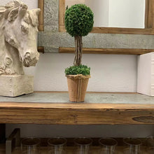 Load image into Gallery viewer, Preserved Grass Topiary Tree
