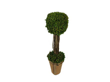 Load image into Gallery viewer, Preserved Grass Topiary Tree