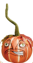 Load image into Gallery viewer, Pumpkin Patch Pumpkin