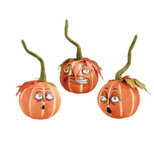 Load image into Gallery viewer, Pumpkin Patch Pumpkin