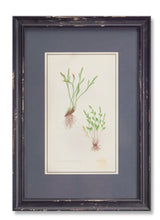 Load image into Gallery viewer, Fern Print