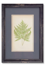 Load image into Gallery viewer, Fern Print