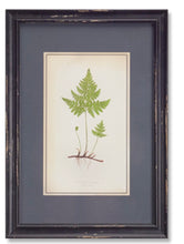 Load image into Gallery viewer, Fern Print