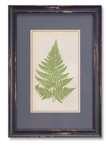 Load image into Gallery viewer, Fern Print