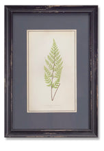 Load image into Gallery viewer, Fern Print
