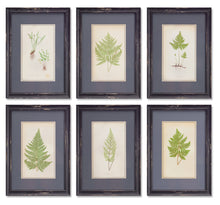Load image into Gallery viewer, Fern Print