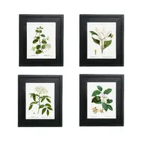 Load image into Gallery viewer, Botanical Print