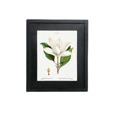 Load image into Gallery viewer, Botanical Print