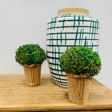 Load image into Gallery viewer, Preserved Grass Topiary