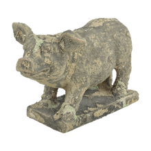 Load image into Gallery viewer, Aged Moss Pig