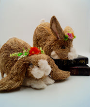 Load image into Gallery viewer, Pinky and Daisy Floppy Bunnies
