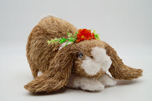 Load image into Gallery viewer, Pinky and Daisy Floppy Bunnies