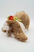 Load image into Gallery viewer, Pinky and Daisy Floppy Bunnies