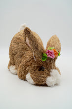 Load image into Gallery viewer, Pinky and Daisy Floppy Bunnies