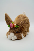 Load image into Gallery viewer, Pinky and Daisy Floppy Bunnies