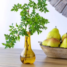 Load image into Gallery viewer, Hombre Glass Bud Vase