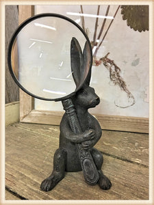 Rabbit with Magnify Glass