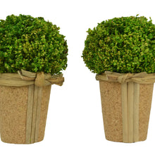 Load image into Gallery viewer, Preserved Grass Topiary