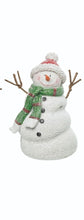 Load image into Gallery viewer, Silly Snowman
