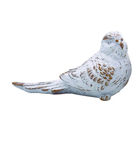 Whitewashed Bird