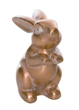 Load image into Gallery viewer, Mini Bronze Bunny
