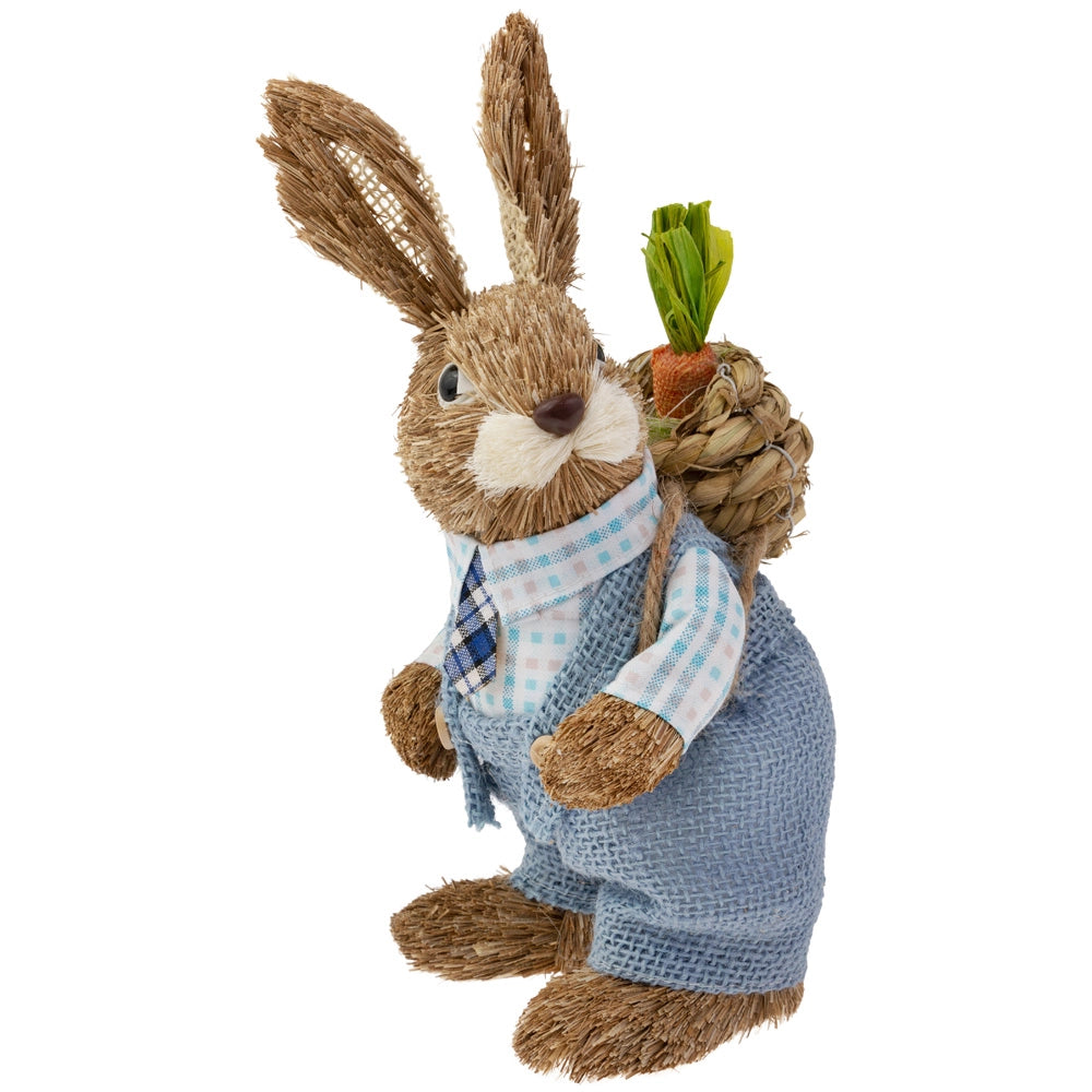 Thomas Thumper the Rabbit