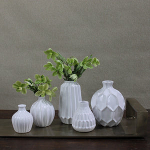 Cinc Vases