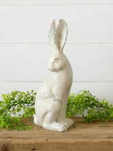 Load image into Gallery viewer, Distressed Rabbit
