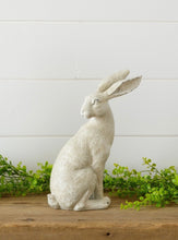 Load image into Gallery viewer, Distressed Rabbit
