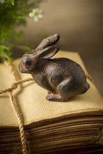 Load image into Gallery viewer, Caste Iron Rabbit
