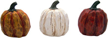 Load image into Gallery viewer, 4&quot; Wood Look Pumpkin
