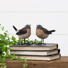 Load image into Gallery viewer, Birds With Metal Feet
