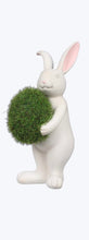 Load image into Gallery viewer, Rabbit with Moss Egg
