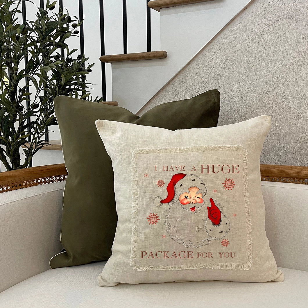 Big Package Pillow