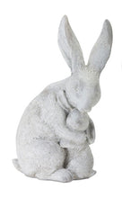 Load image into Gallery viewer, Moma and babs Bunny
