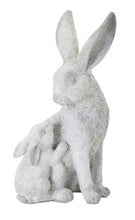 Load image into Gallery viewer, Moma and babs Bunny
