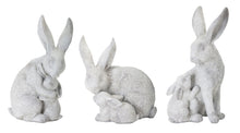 Load image into Gallery viewer, Moma and babs Bunny
