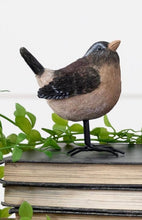 Load image into Gallery viewer, Birds With Metal Feet
