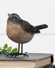 Load image into Gallery viewer, Birds With Metal Feet
