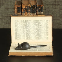 Load image into Gallery viewer, Pablo Mouse
