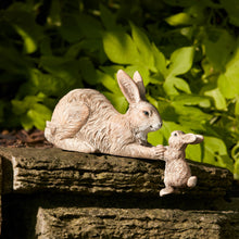 Load image into Gallery viewer, Bunny Love
