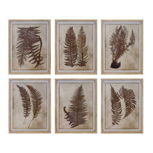 Load image into Gallery viewer, Fern Print
